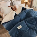 New Thick Milk Fleece Warm Blanket for Winter Artificial Lamb Cashmere Duvet Comforter Soft Warmth Weighted Blankets Quilt Core - Image 2