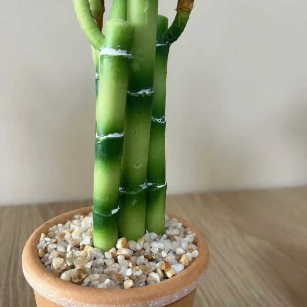 Artificial Lucky Bamboo Plant Green Potted Garden Outdoor Living Room Desktop Aesthetic Space Tropical Rainforest Home Decor - Image 5
