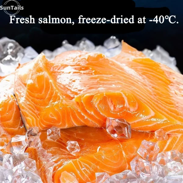 Freeze Dried Salmon Cat and Dog Treats, Wild Caught, Single Ingredient | Natural High Value | Gluten Free, Grain Free Cat Food - Image 3