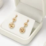 Oirlv Jewelry Box Jewelry Organizer Ring Earrings Necklace Pendant Bracelet Storage Gift Box Packaging Box Gift Case for Wedding - Image 5