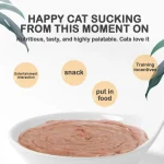 60 Pieces/Box Cat Snacks Cat Strips Whole Box Cat Snacks Tuna Salmon Chicken Cat Fattening Pet Snacks Cat Food Cat Food Snack - Image 3