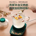 110V/220V Electric Kettle Ceramic Tea Warmer Health Care Overheat Protection for Japan USA Canada AC - Image 3