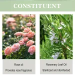Body Odor Removal Antiperspirant Hair Inhibitor Long Lasting Effect Sweat Odor Deodorant Fresh Pleasant Rose Fragrance Body Care - Image 4