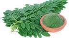 Sojne Pata Gura / Moringa Leaf Powder-100gm - Image 2