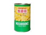 Hibiscus Mushrooms Choice 425g