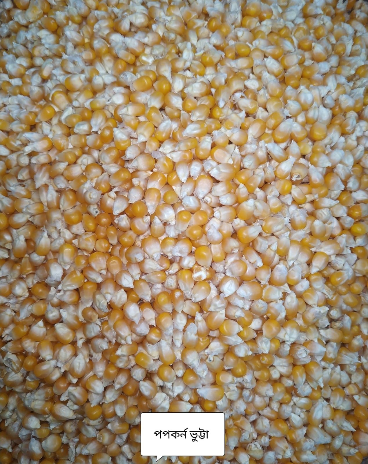 Deshi Organic Popcorn Kernels/Popcorn Bhutta (500gm) - Sale Bangladesh