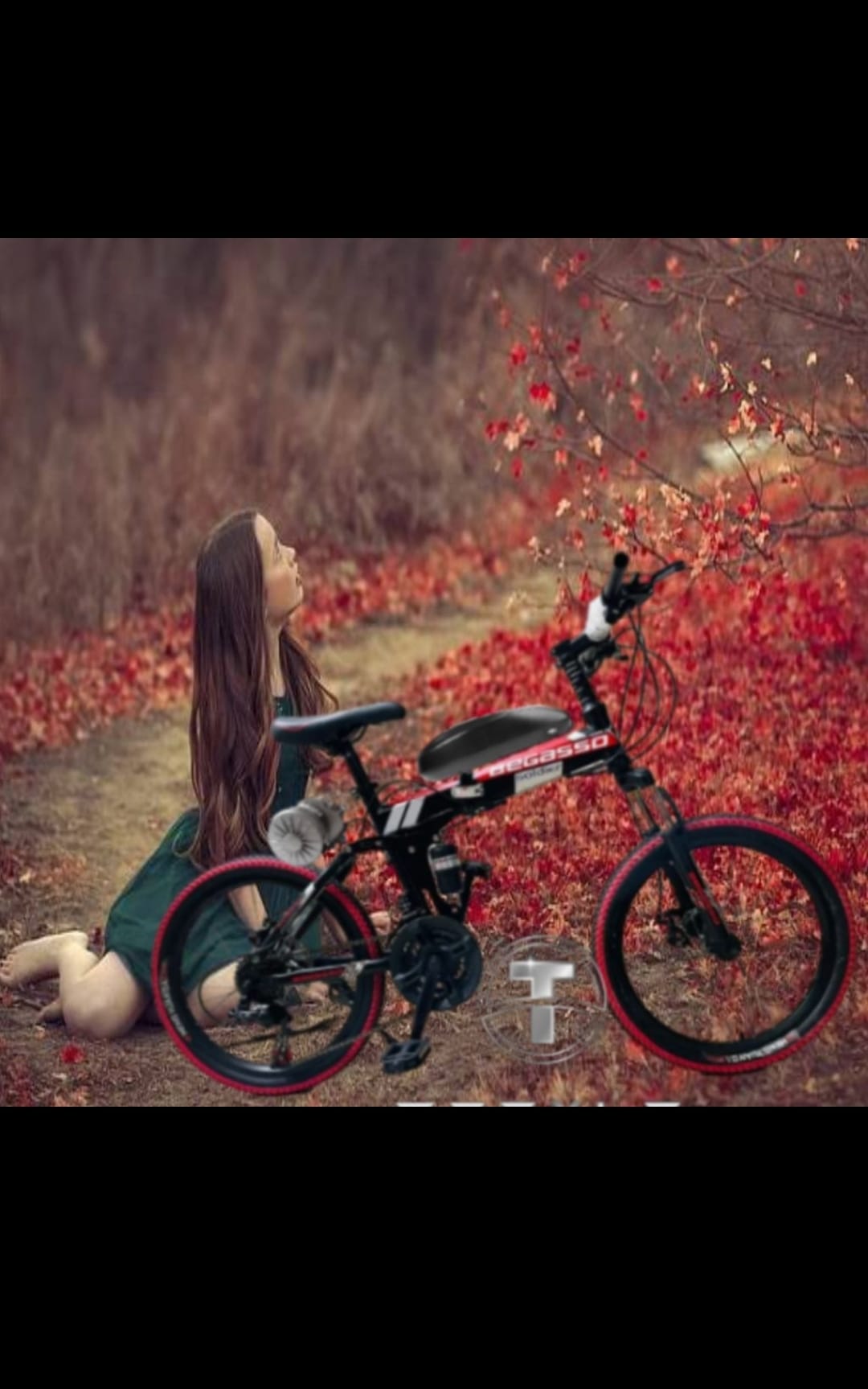 Sa3af8a056dae4cc9b34cabd5e8cefbeaf Electric folding bicycle 20''wheel with Lithium battery - Image 1