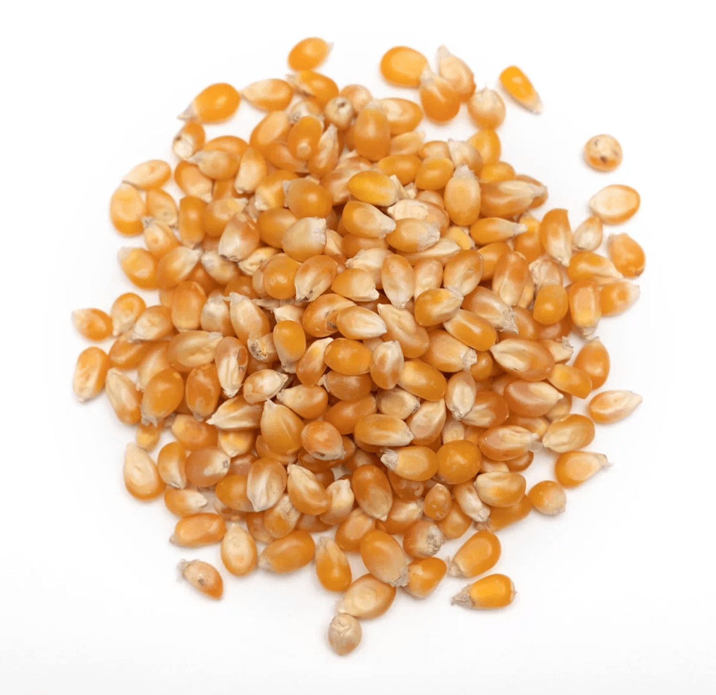 Popcorn (Bhutta)-1 Kg - Sale Bangladesh
