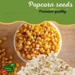 Popcorn Seeds 500g