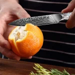 Professional Damascus Steel Kitchen Knife Meat Cleaver Kitchen Cutting Tools Exquisite Abalone Shell Handle with Gift Box - Image 4