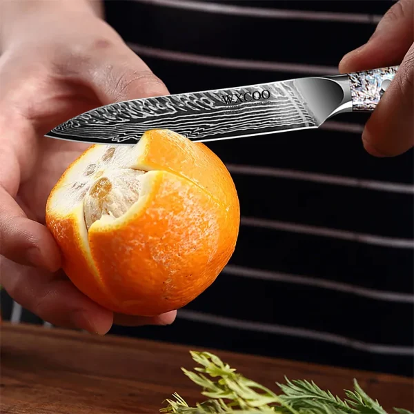 Professional Damascus Steel Kitchen Knife Meat Cleaver Kitchen Cutting Tools Exquisite Abalone Shell Handle with Gift Box - Image 4